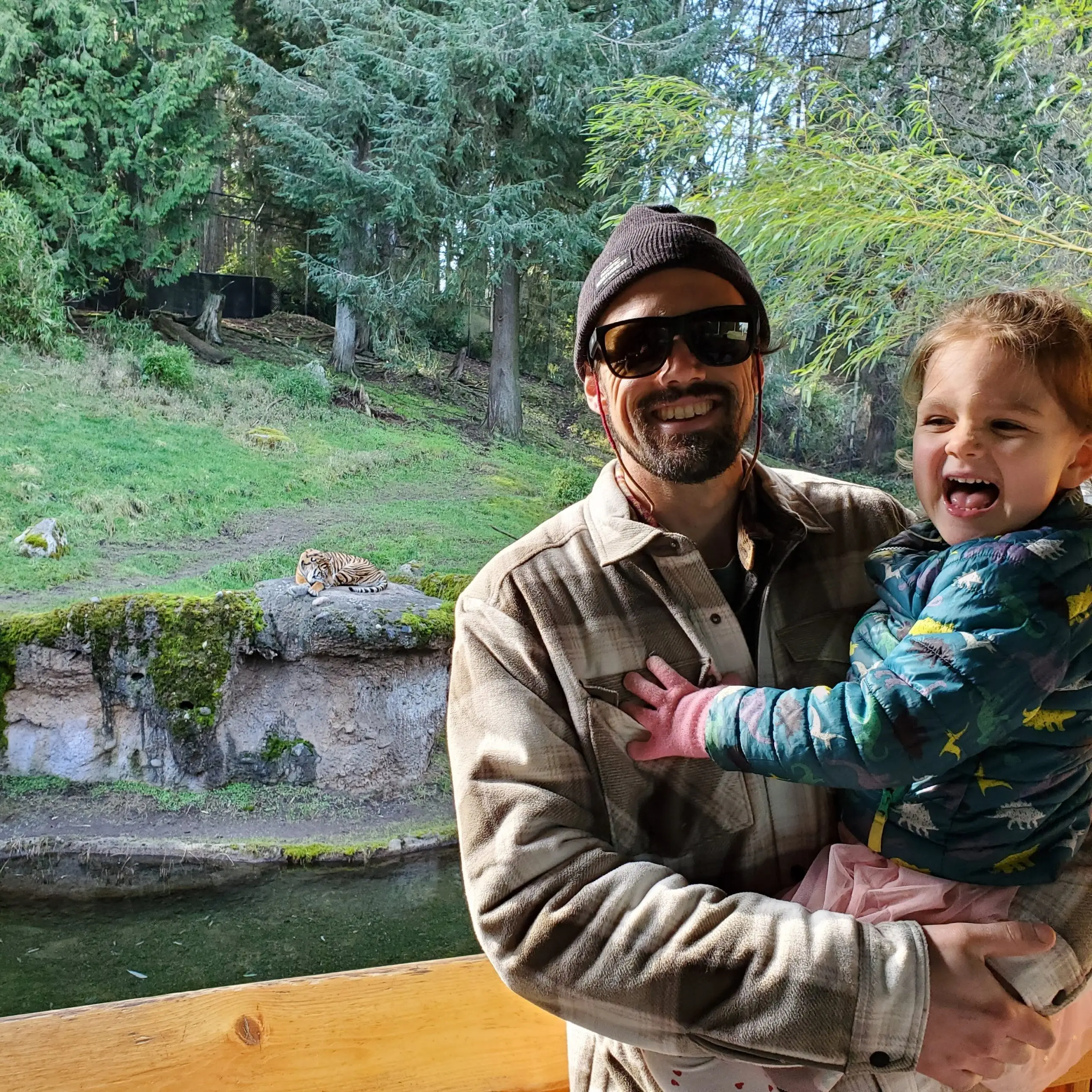 Man holding a young child while standing near a tiger enclosure at a zoo.