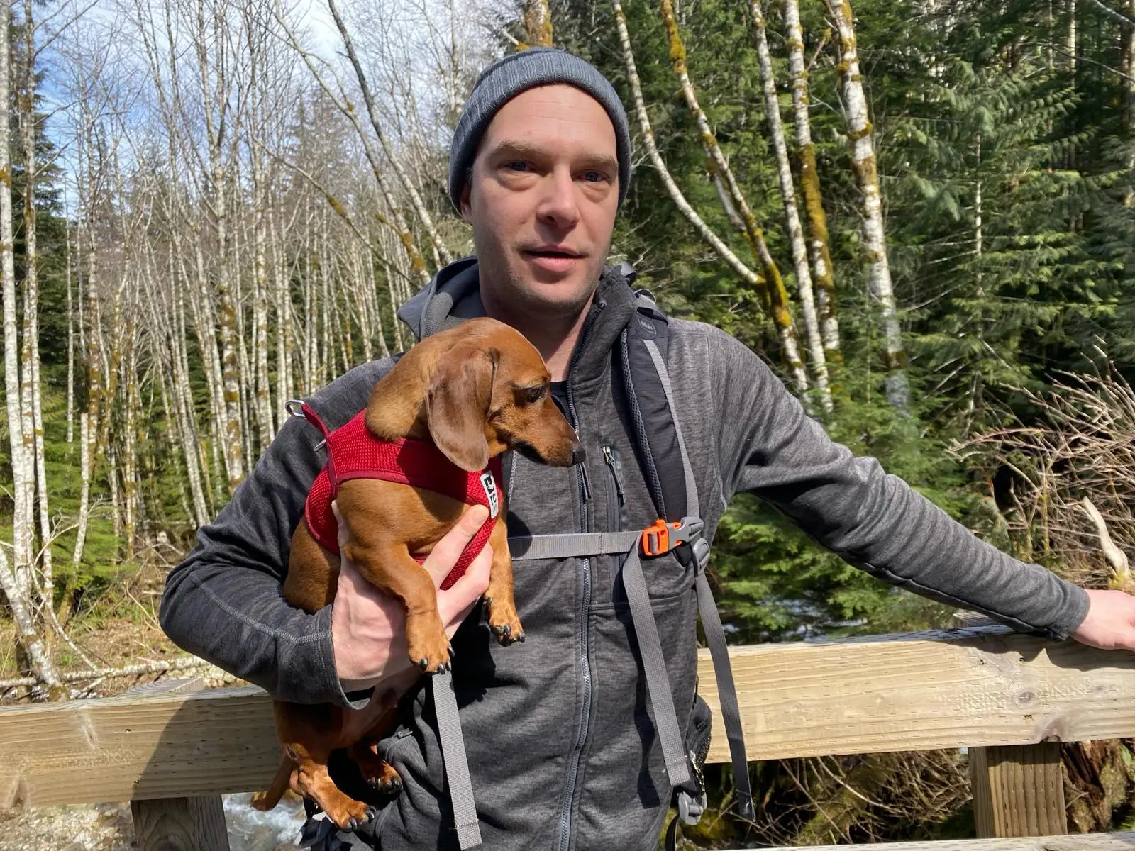 Person holding a small dog in a red harness while standing on a wooden trail bridge.